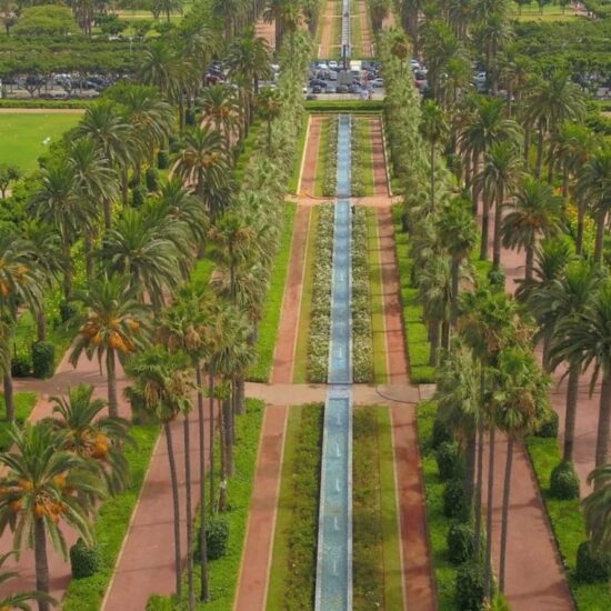 حديقة الجامعة العربية