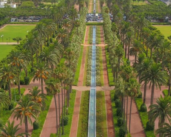 حديقة الجامعة العربية